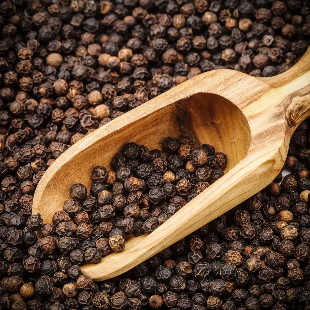 Poivre noir - Piper nigrum - Lippée